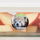 Rode panda labels (Aangebracht)