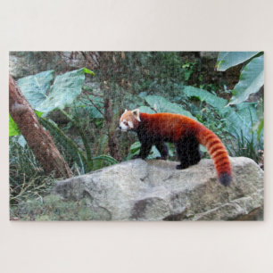 rode panda legpuzzel