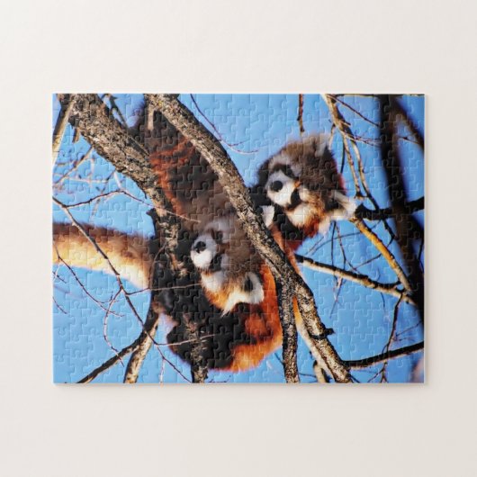 rode panda legpuzzel (Horizontaal)