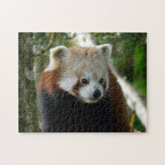 rode panda legpuzzel
