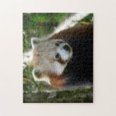 rode panda legpuzzel (Verticaal)