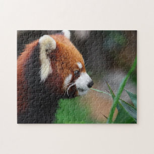 Rode panda legpuzzel