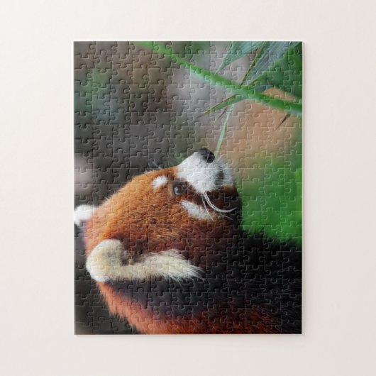 Rode panda legpuzzel (Verticaal)