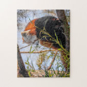 Rode panda legpuzzel (Verticaal)