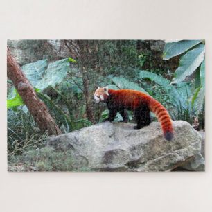 rode panda legpuzzel