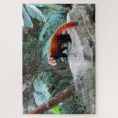 rode panda legpuzzel (Verticaal)