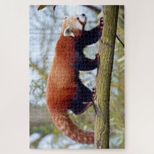 Rode panda loopt op tak legpuzzel (Verticaal)