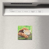 Rode panda magneet (Insitu (Vaatwasser))