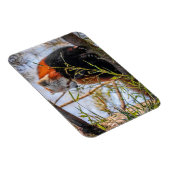 Rode panda magneet (Rechterzijde)