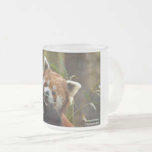 Rode Panda Matglas Koffiemok