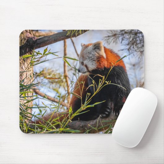 Rode panda muismat (Met muis)