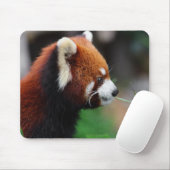 Rode panda muismat (Met muis)