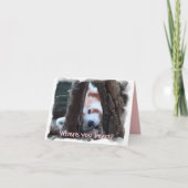 Rode Panda notecard: "Waar u? Ik mis u! " Kaart (Voorkant)