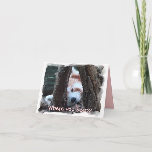 Rode Panda notecard: "Waar u? Ik mis u! " Kaart (Voorkant)