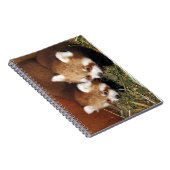 Rode panda notitieboek (Rechterzijde)