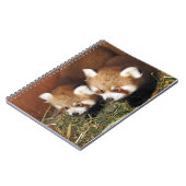 Rode panda notitieboek (Linkerzijde)