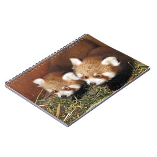 Rode panda notitieboek