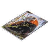 Rode panda notitieboek (Linkerzijde)