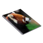 Rode panda notitieboek (Rechterzijde)