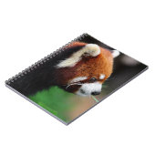 Rode panda notitieboek (Linkerzijde)