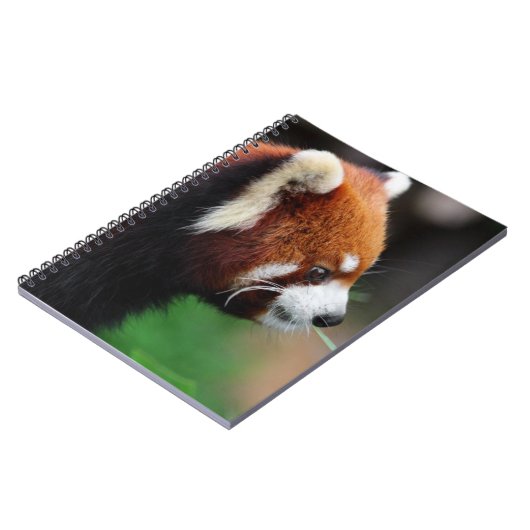 Rode panda notitieboek (Linkerzijde)