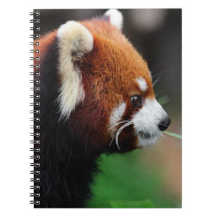 Rode panda notitieboek