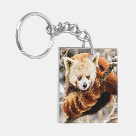Rode panda op een boomledemaat sleutelhanger (Voorkant Links)
