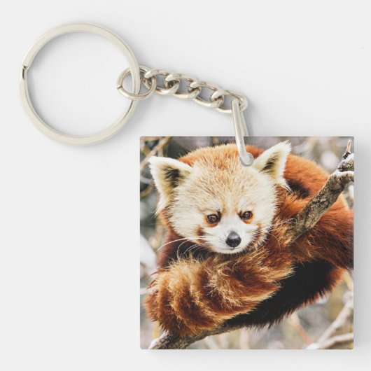 Rode panda op een boomledemaat sleutelhanger (Voorkant)