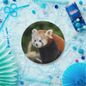 Rode panda papieren bordje (Feest)
