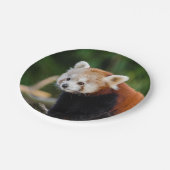 Rode panda papieren bordje (Gekanteld)