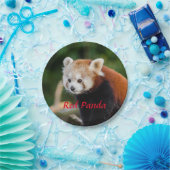 Rode panda papieren bordje (Feest)