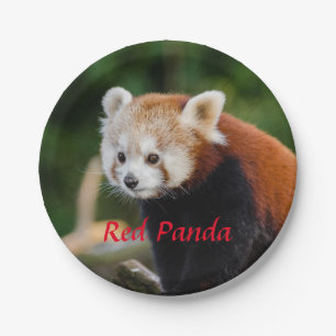 Rode panda papieren bordje