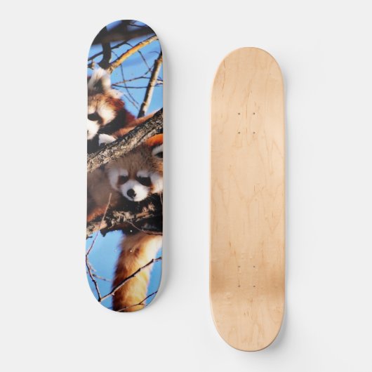rode panda persoonlijk skateboard (Voorkant)