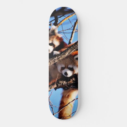 rode panda persoonlijk skateboard (Voorkant)