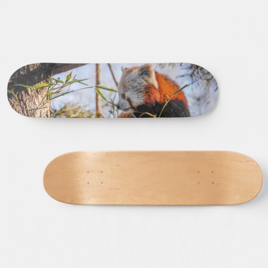 Rode panda persoonlijk skateboard (Horizontaal)