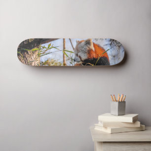 Rode panda persoonlijk skateboard