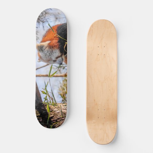 Rode panda persoonlijk skateboard (Voorkant)