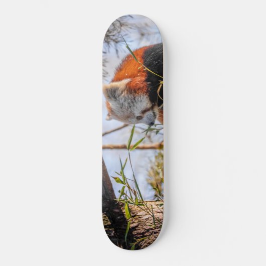 Rode panda persoonlijk skateboard (Voorkant)