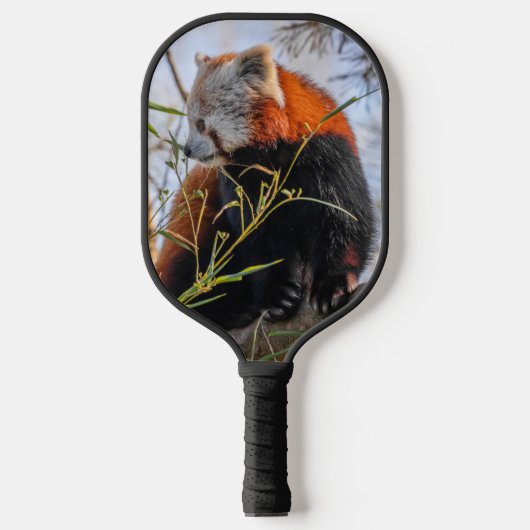 Rode panda pickleball paddle (Voorkant)