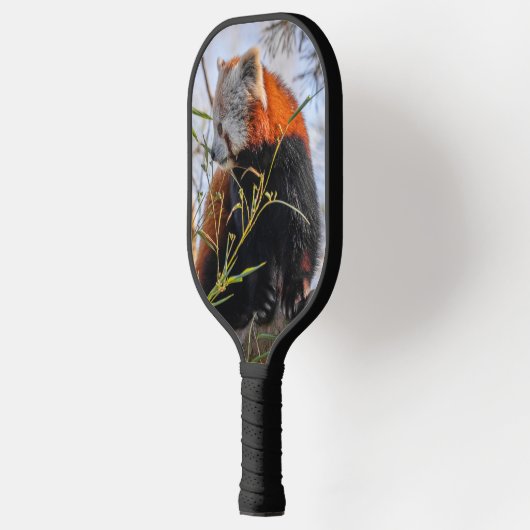 Rode panda pickleball paddle (Links)