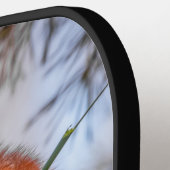 Rode panda pickleball paddle (Links Detail)