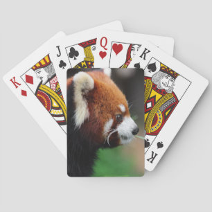 Rode panda pokerkaarten