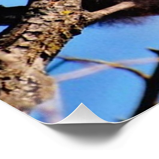 rode panda poster (Hoek)