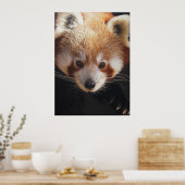 rode panda poster (Keuken)