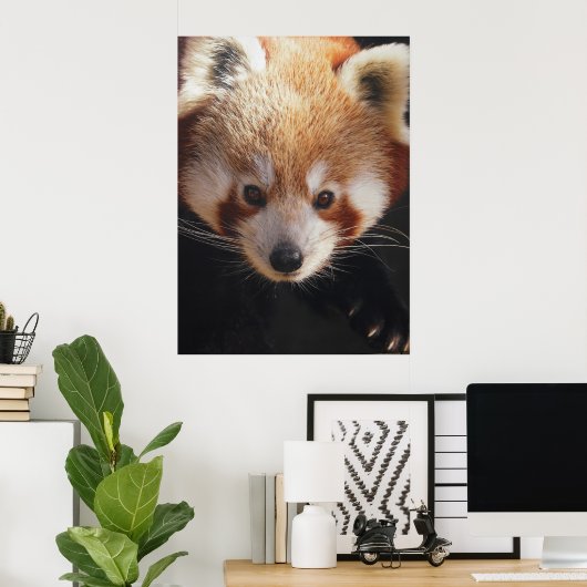 rode panda poster (Thuiskantoor)