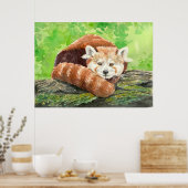 Rode panda poster (Keuken)