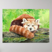 Rode panda poster (Voorkant)