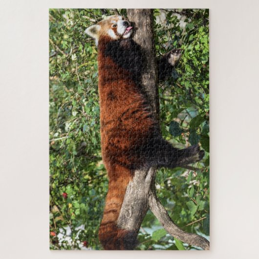 rode panda puzzel (Verticaal)