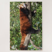 rode panda puzzel legpuzzel (Verticaal)