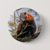 Rode panda ronde button 5,7 cm (Voorkant)